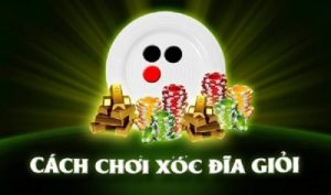 Xóc Đĩa Online – Bí quyết để thành công trong thế giới cá cược mới