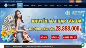 SHBet – Thương hiệu cá cược đẳng cấp, dẫn đầu xu hướng